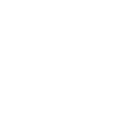 IR Records